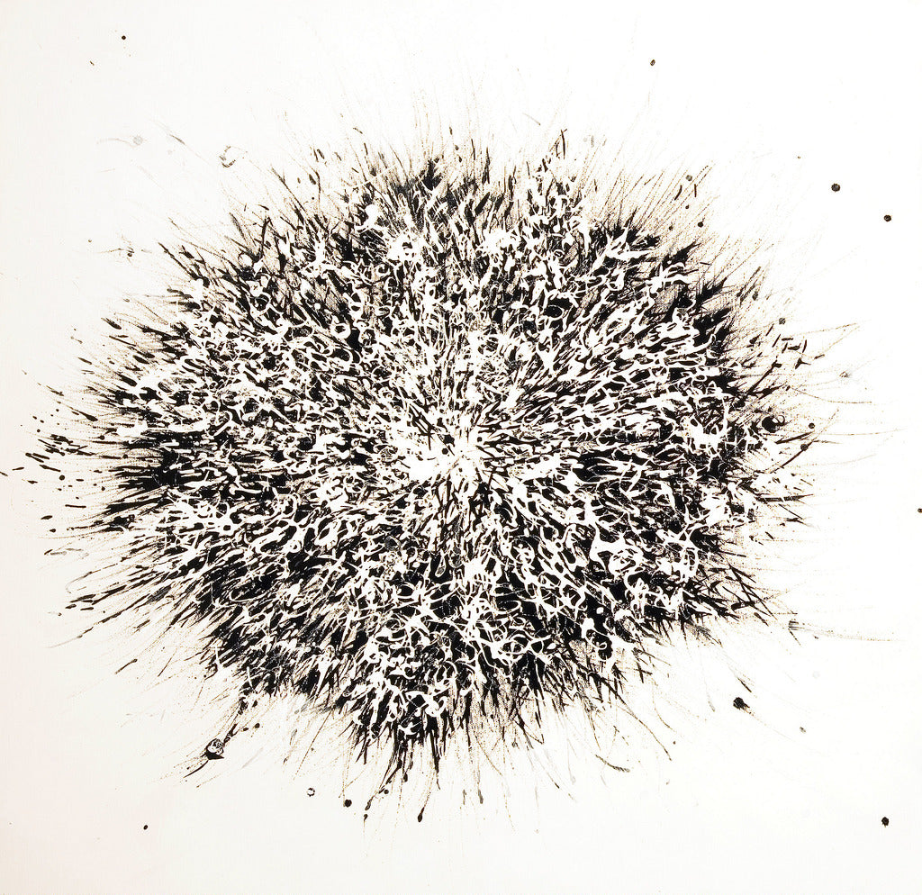Dandelion
